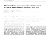 Characterization of adipose tissue-derived stromal vascular fraction for clinical application to cartilage regeneration